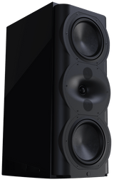 Perlisten R5m Monitor