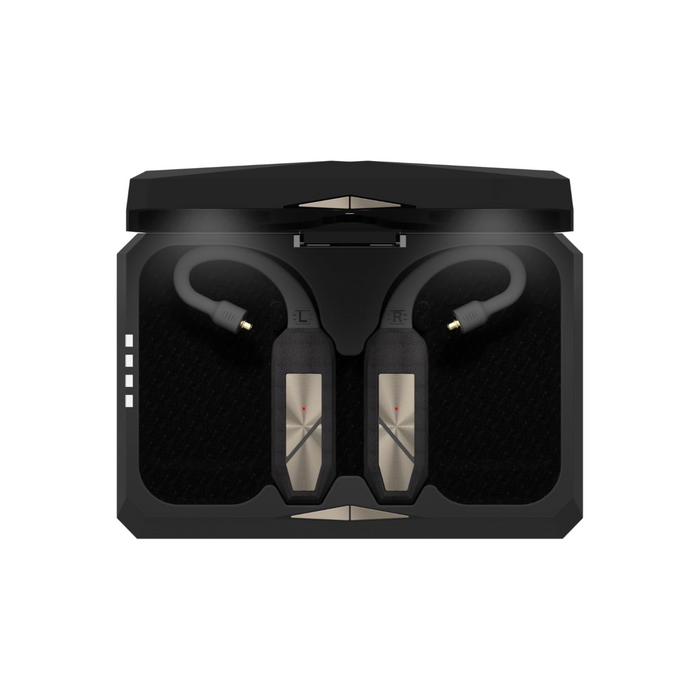 iFi Audio GO Pod Bluetooth DAC & Headphone Amplifier