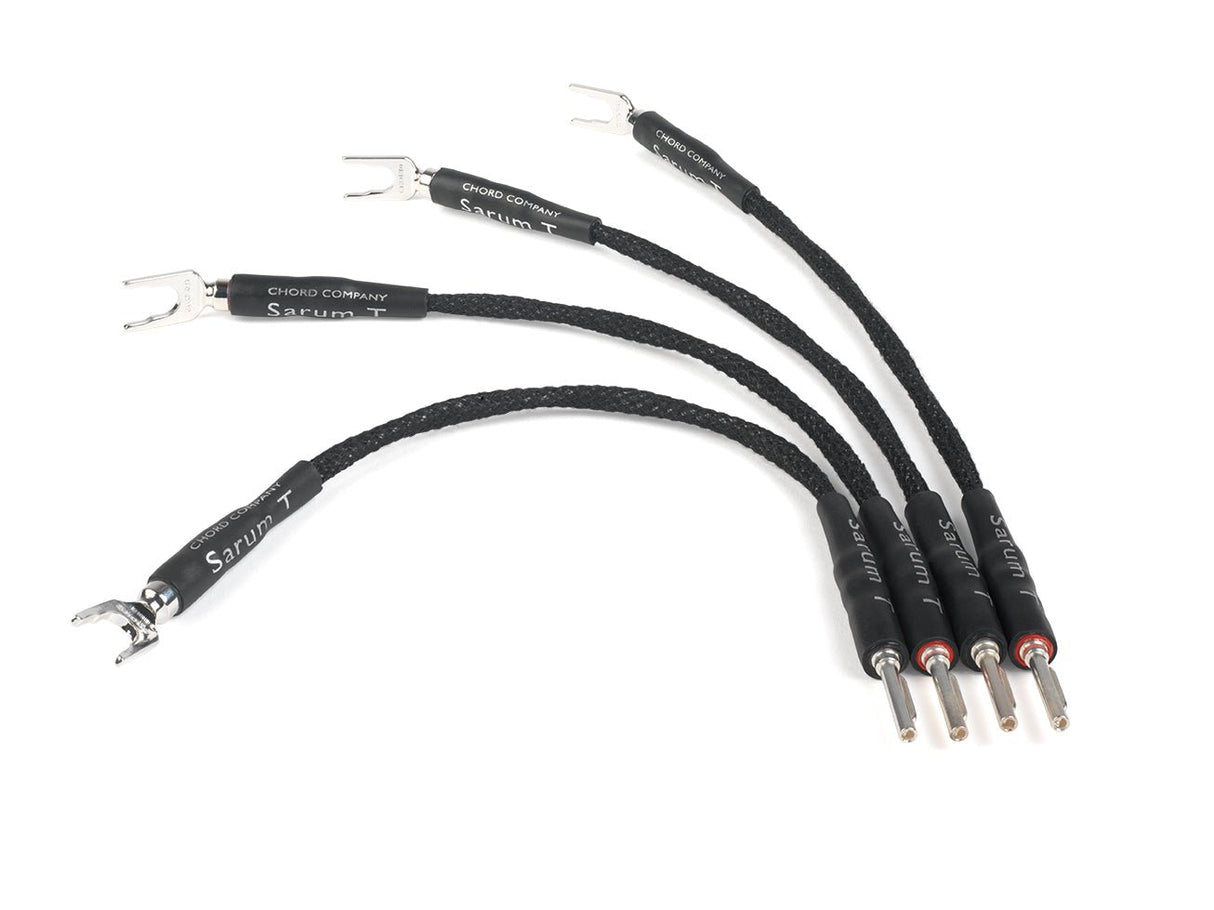 Sarum T bi - wire speaker links - Nottingham HiFi