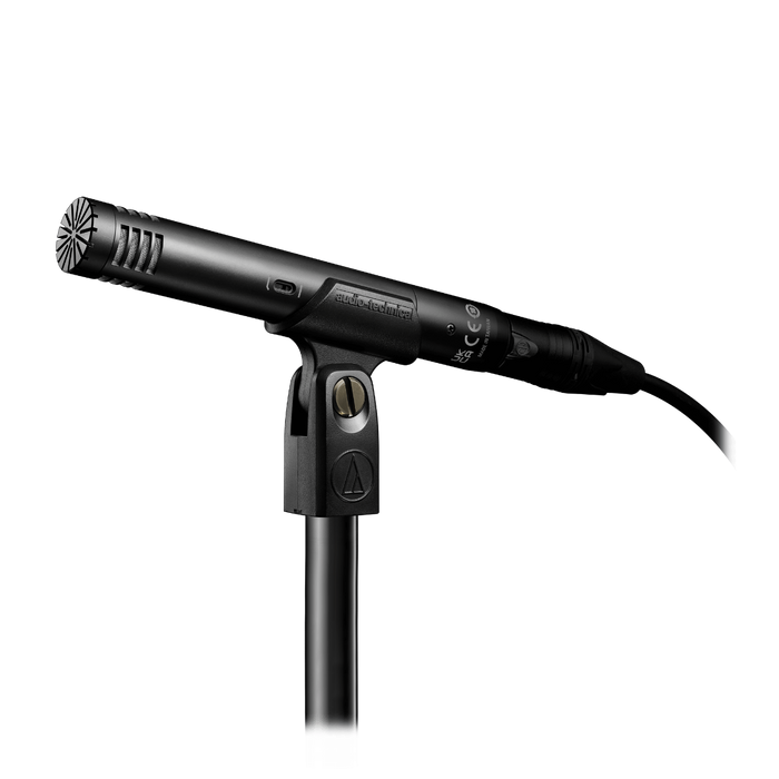 Audio Technica AT2031 Cardioid Condenser Microphone